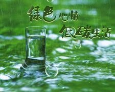 張成榮電烤雞架，爭做綠色低碳餐飲小吃先鋒品牌！